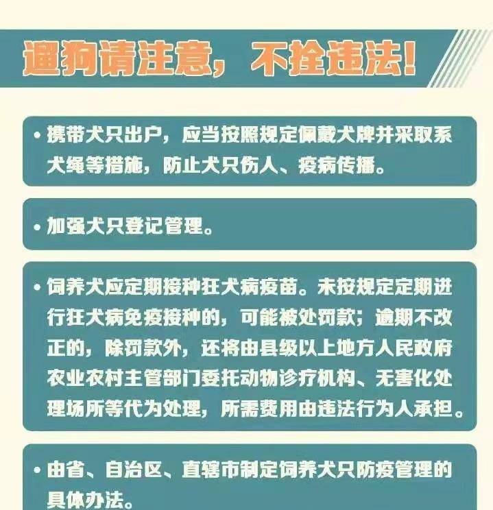 最新防疫条例，构建更安全的防护墙