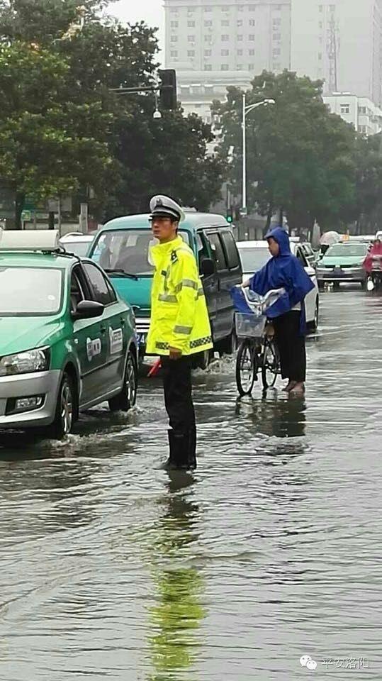 洛阳最新暴雨，城市如何应对挑战与反思