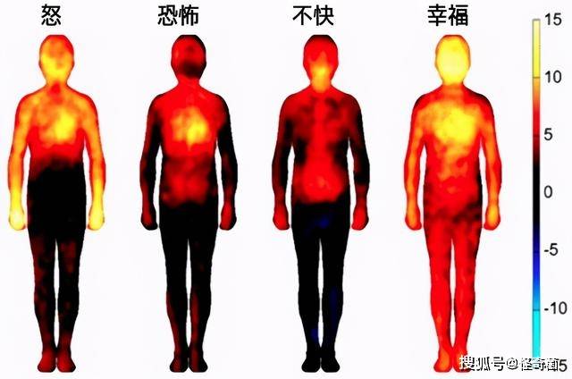 人体最新温度，探索人体温度的微小变化与健康联系