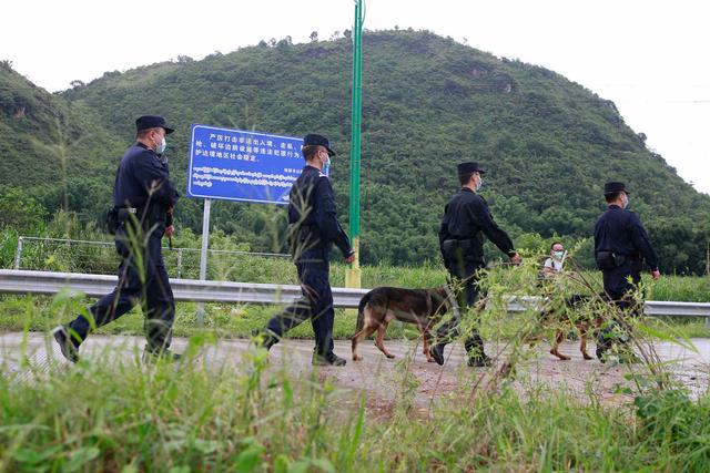 中国的最新疫情